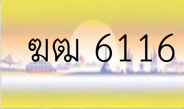 ฆฒ 6116